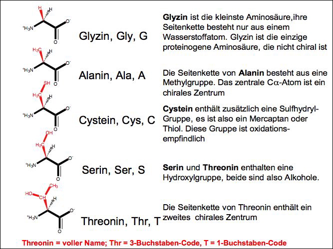 slide09.jpg