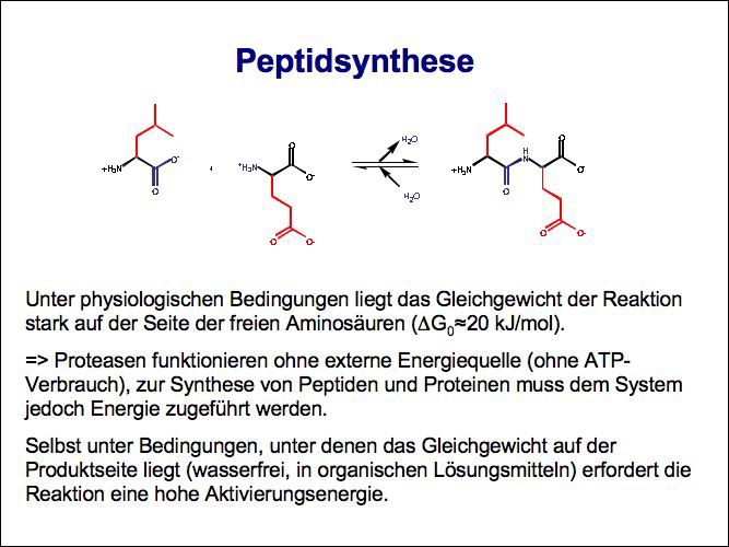 slide03.jpg