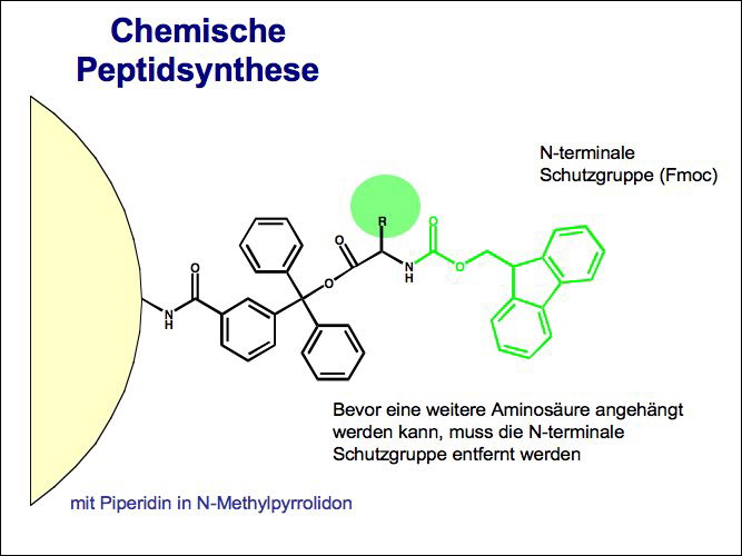 slide08.jpg