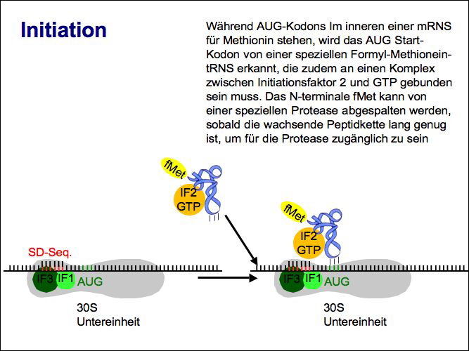 slide30.jpg