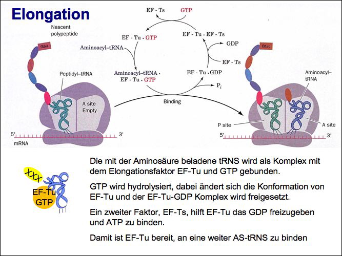 slide33.jpg