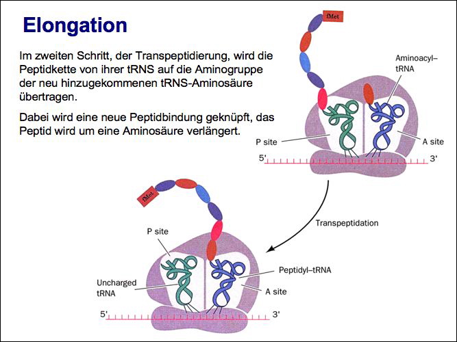 slide38.jpg