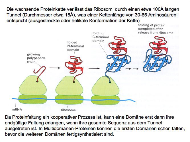 slide16.jpg