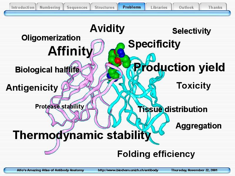 Antibody Engineering, San Diego, Dec. 2002