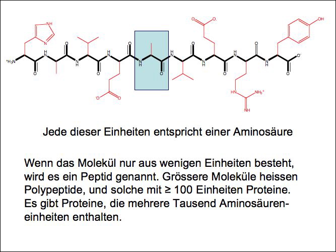 slide04.jpg