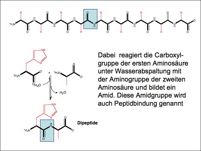 slide05.jpg