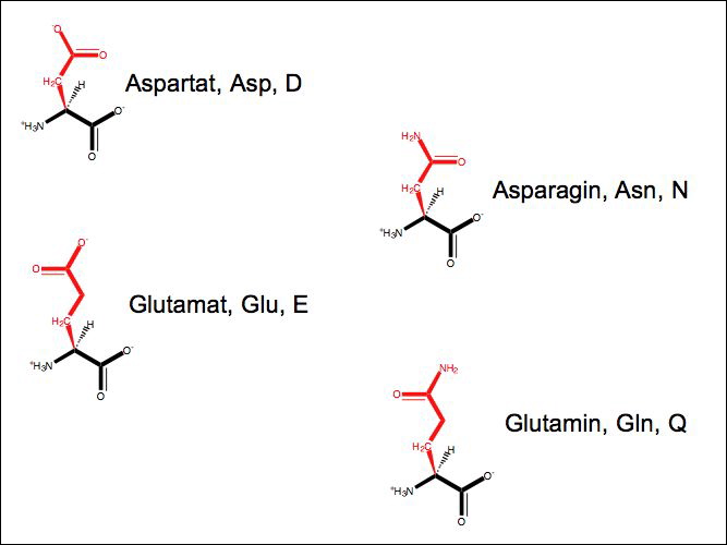 slide11.jpg