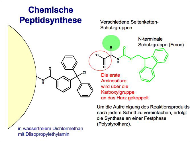 slide07.jpg