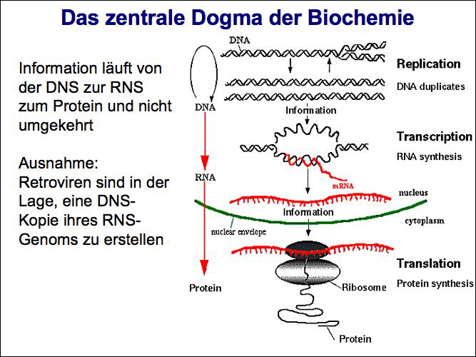 slide13.jpg