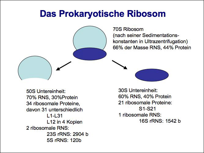 slide18.jpg