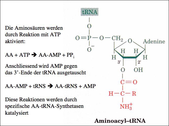 slide24.jpg