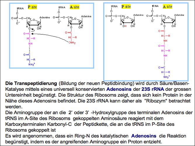 slide39.jpg