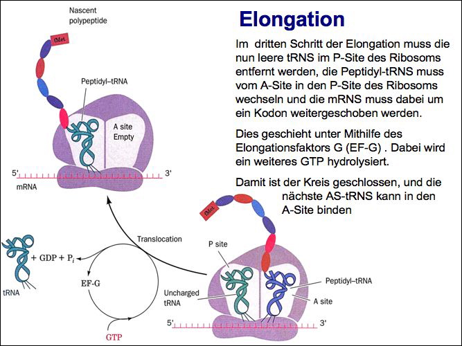 slide40.jpg